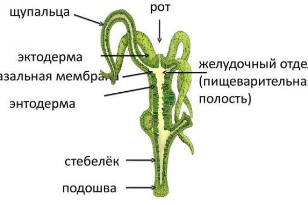 Как зарегистрироваться на кракене